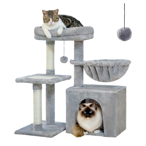 Animals & Pet Supplies