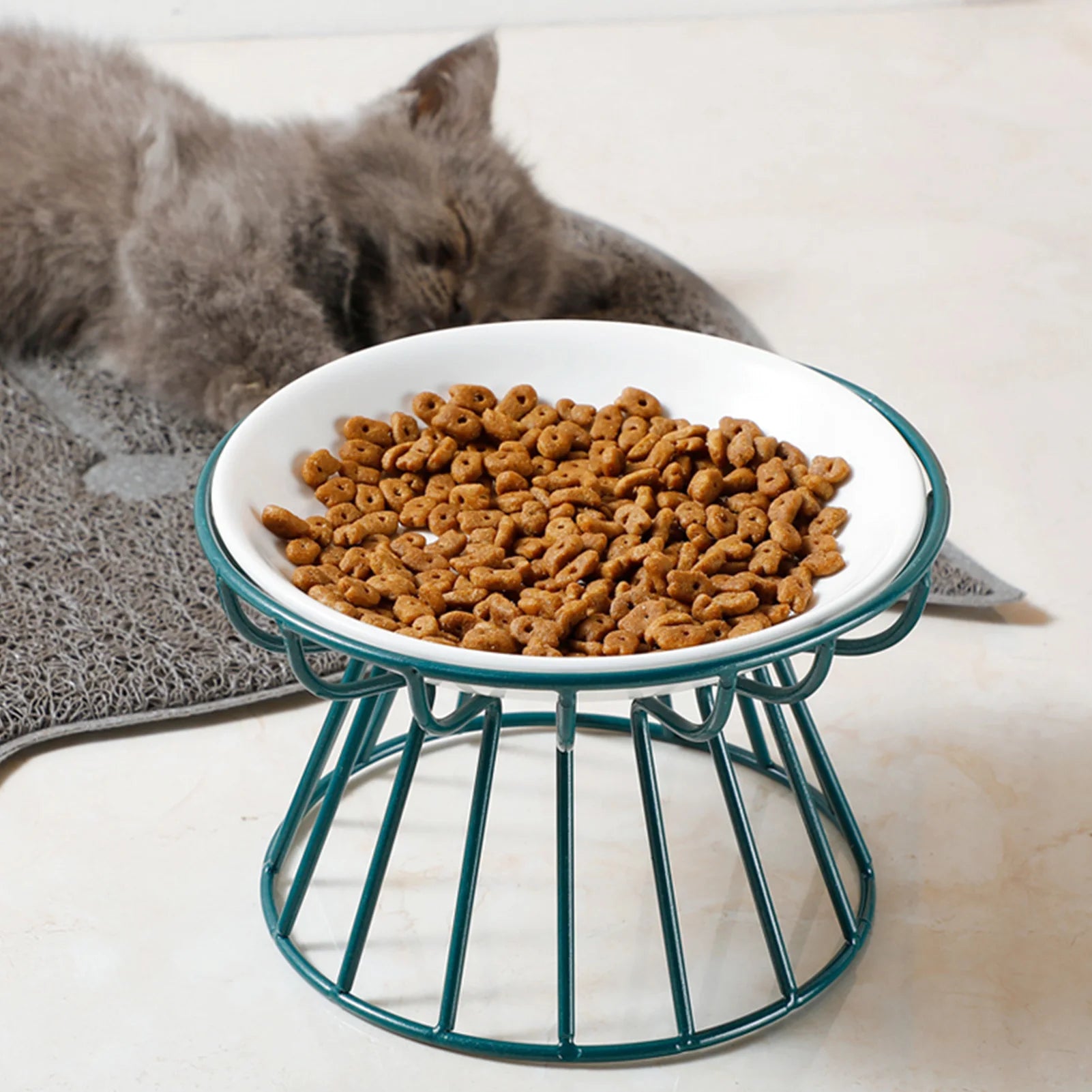 Ceramic Shallow Pet Bowl – Non-Slip