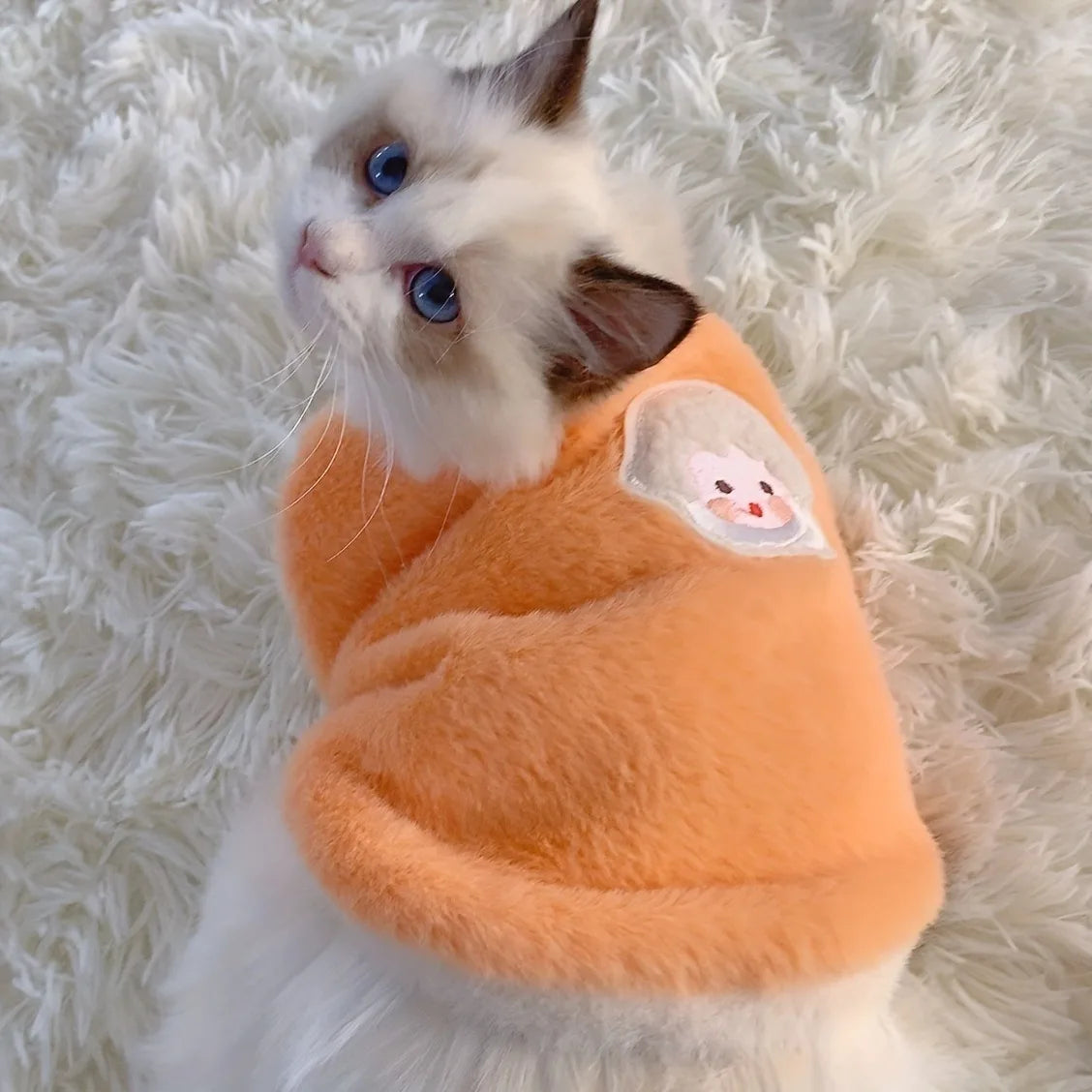 Warm Winter Clothes for Small Pets