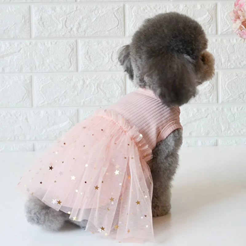 Luxury Lace Dog Dress