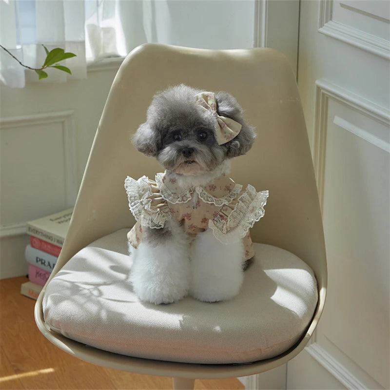 Floral Lace Dog Dress – XS-XL
