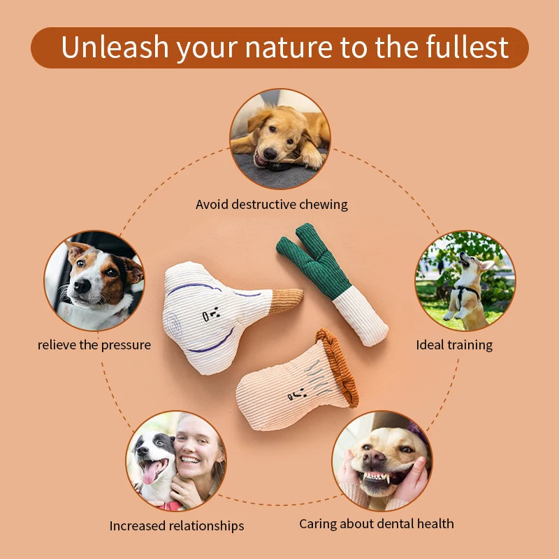 Plush Squeaky Dog Toy (Vegetable Series)
