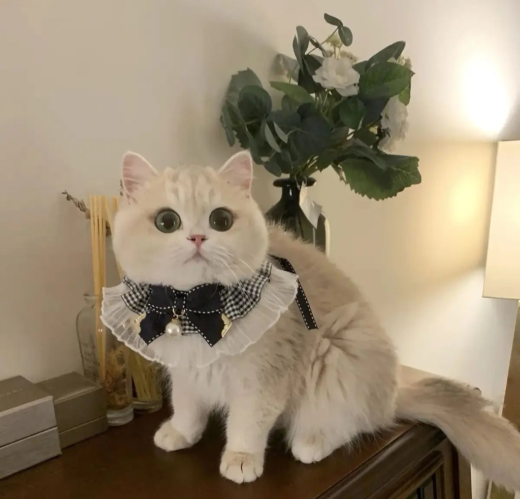 Silk Pet Collar with Bow & Bell – Princess Style