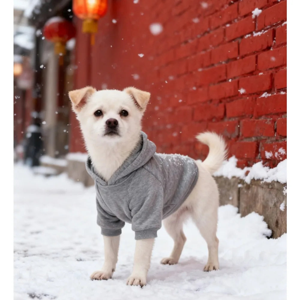 Cartoon Sports Pet Hoodie – Cute Hoodie for Cats & Dogs