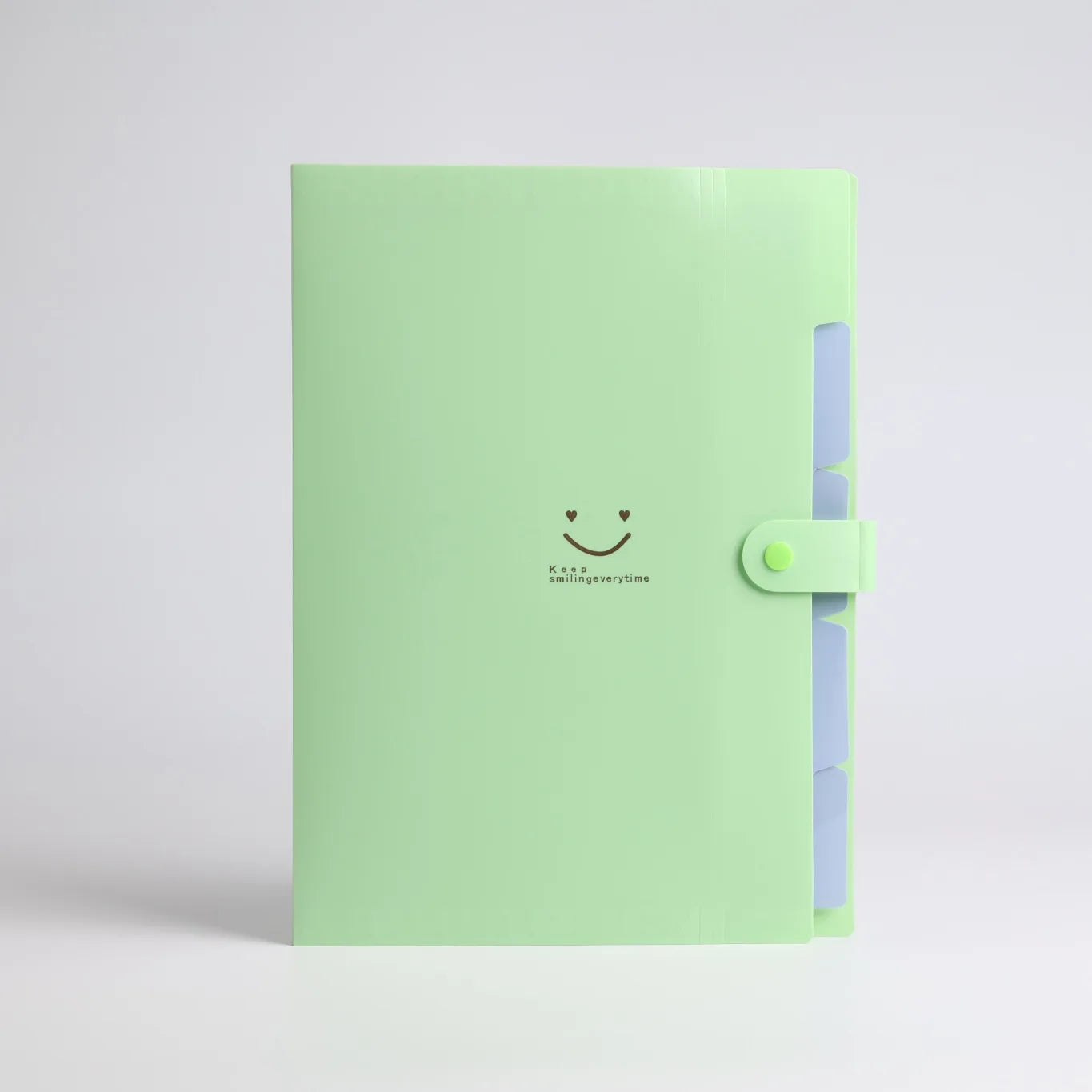 5-Page A4 Accordion File Folder – Durable