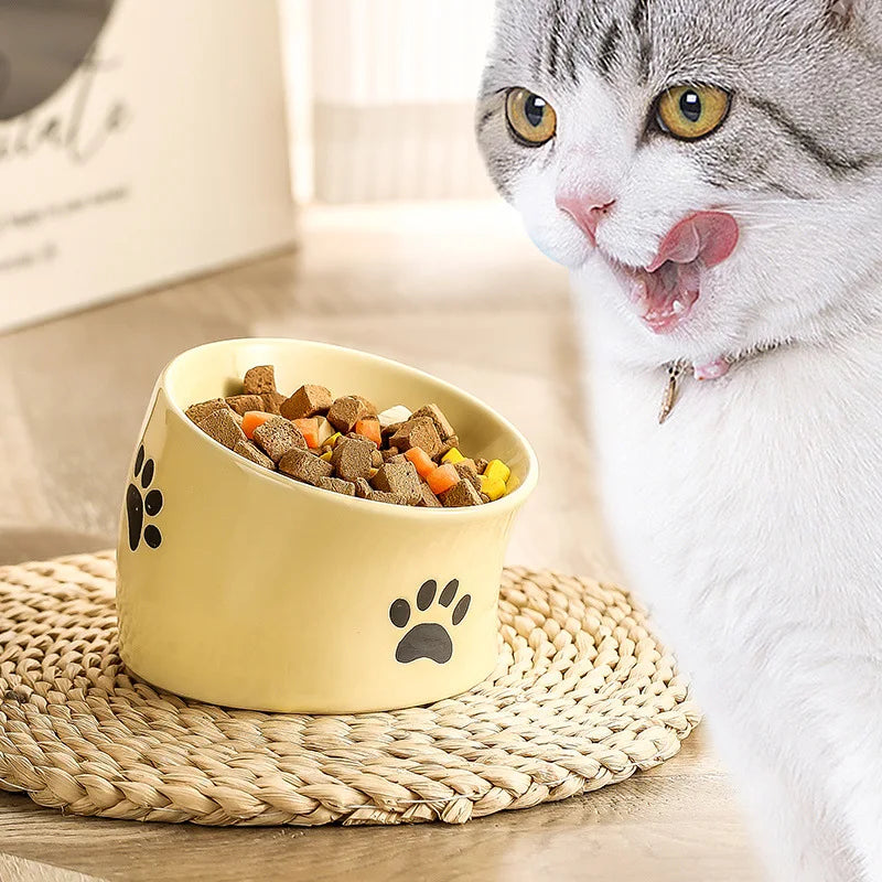 Tilted Elevated Ceramic Cat Bowl (Food & Water)