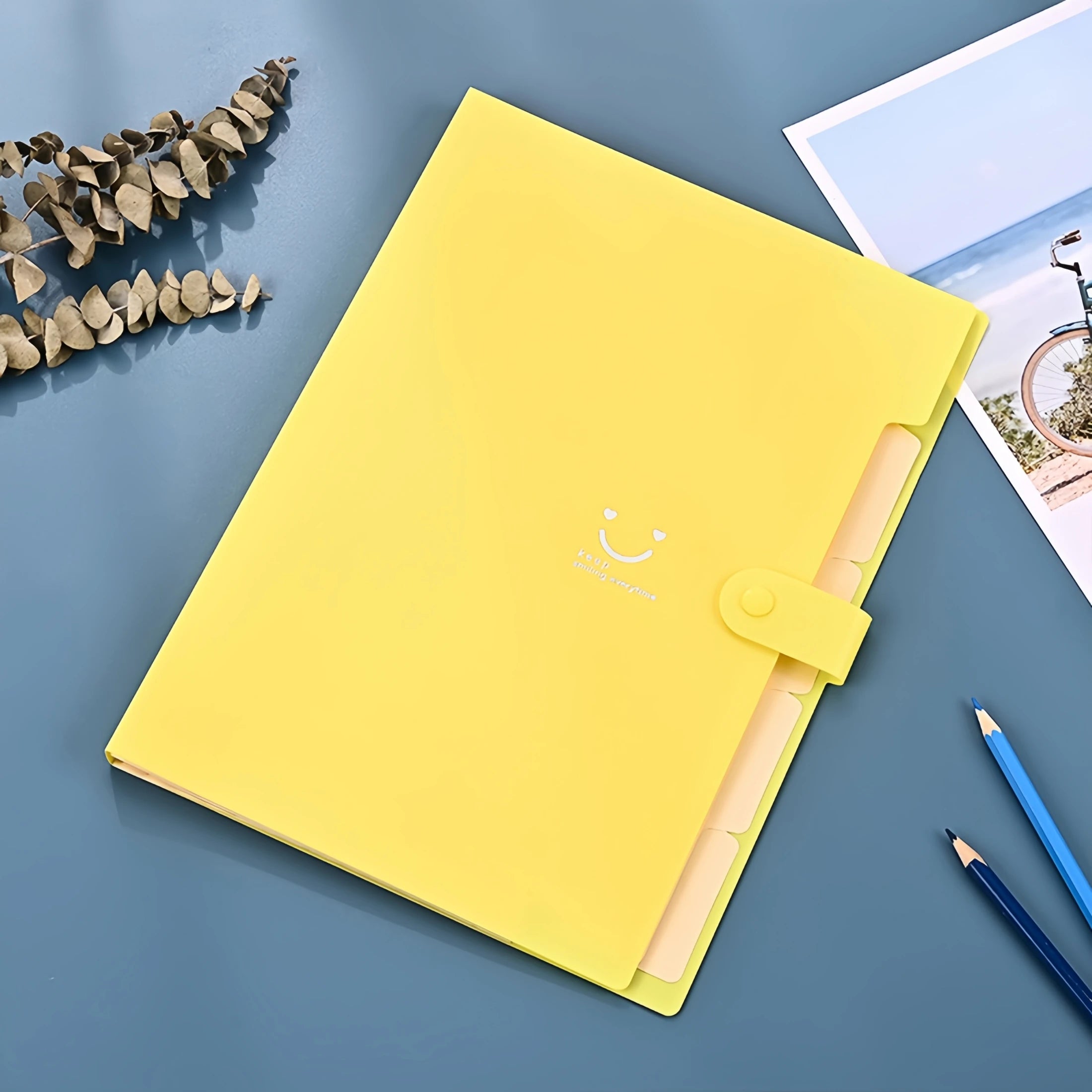 A4 Multi-Layer File Folder – Candy Colors