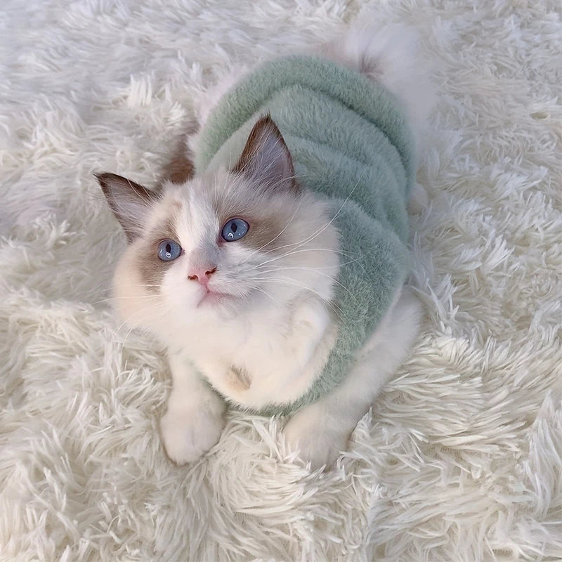 Warm Winter Clothes for Small Pets