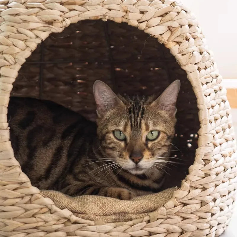 Wooden Cat Tree