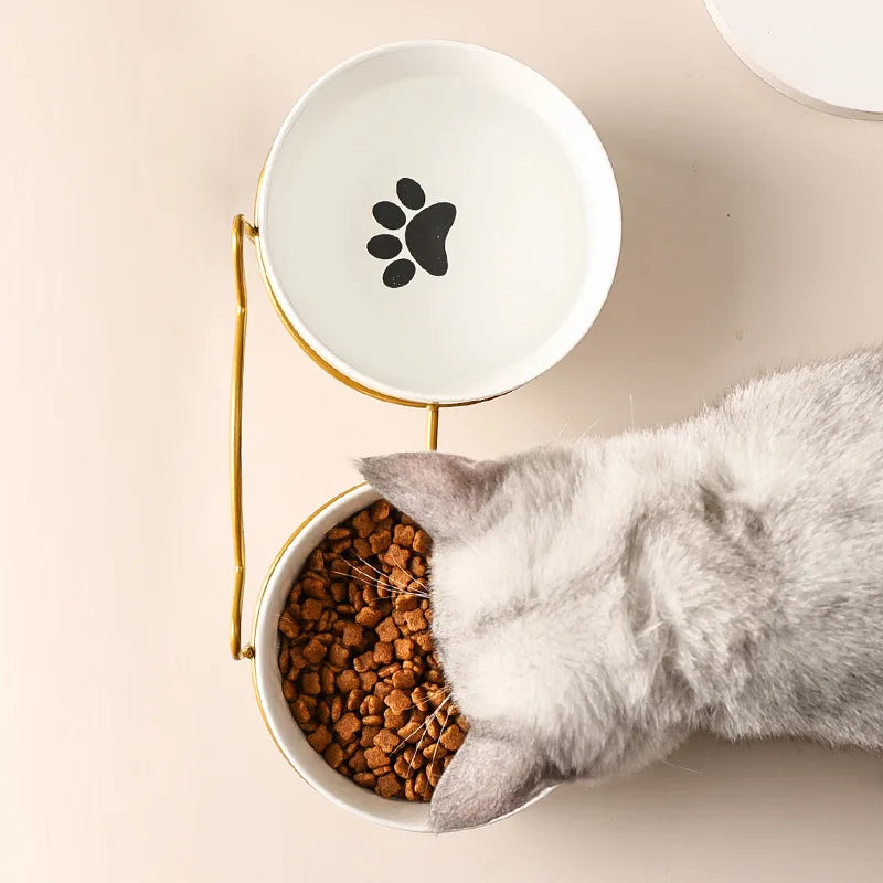 Ceramic Double Pet Bowl – Cervical Protection