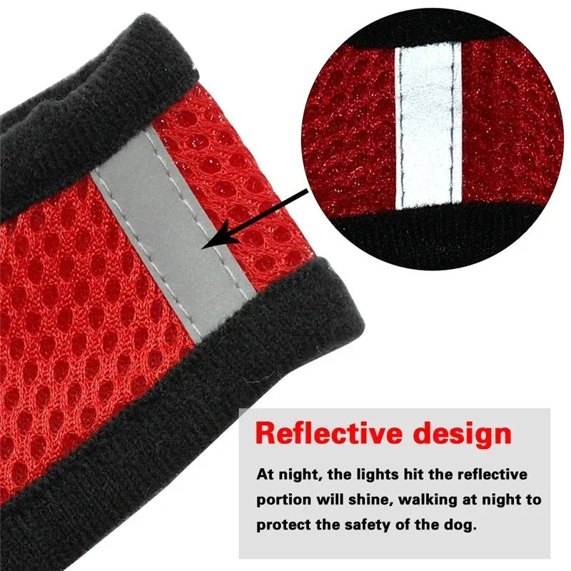 Adjustable Mesh Pet Harness & Leash
