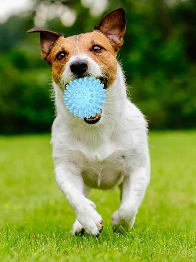 Interactive Rubber Chew Ball – Dog & Cat