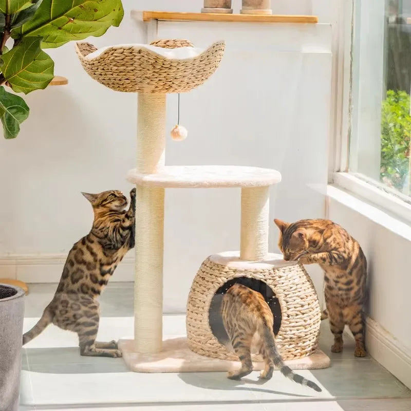 Wooden Cat Tree