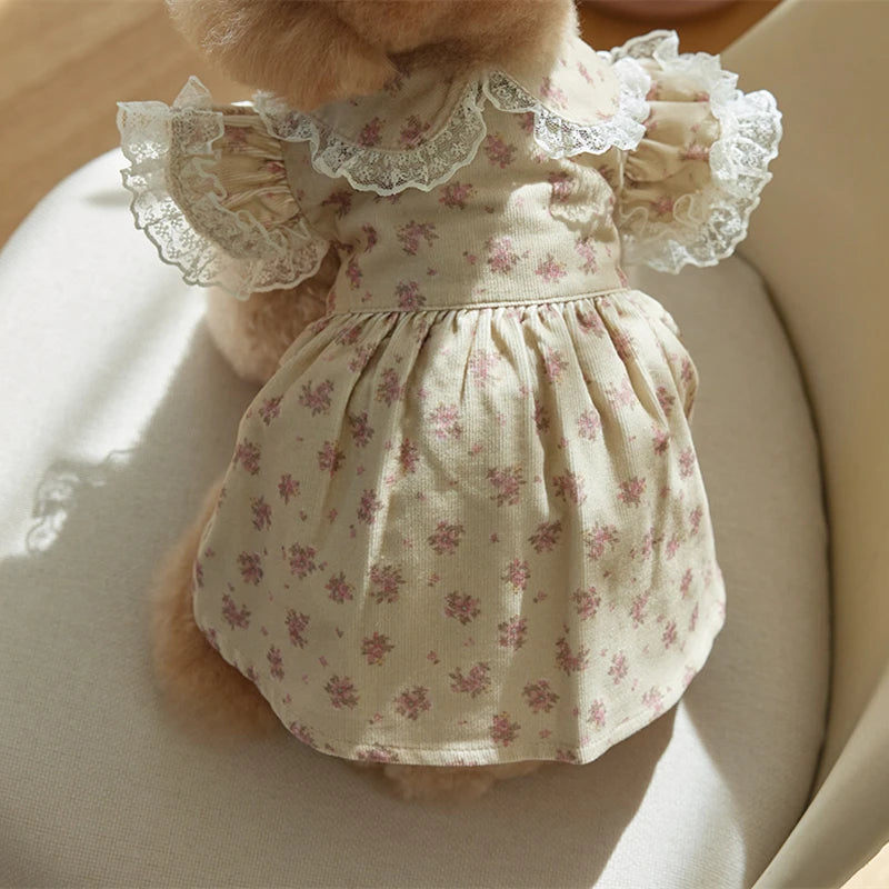 Floral Lace Dog Dress – XS-XL