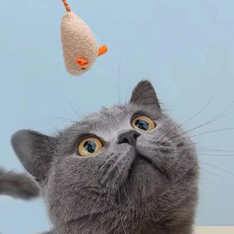 Interactive Plush Rat Toy Set