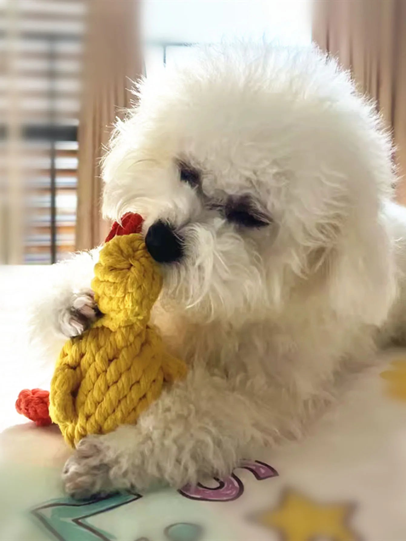 Hand-Woven Cotton Dog Rope Toy