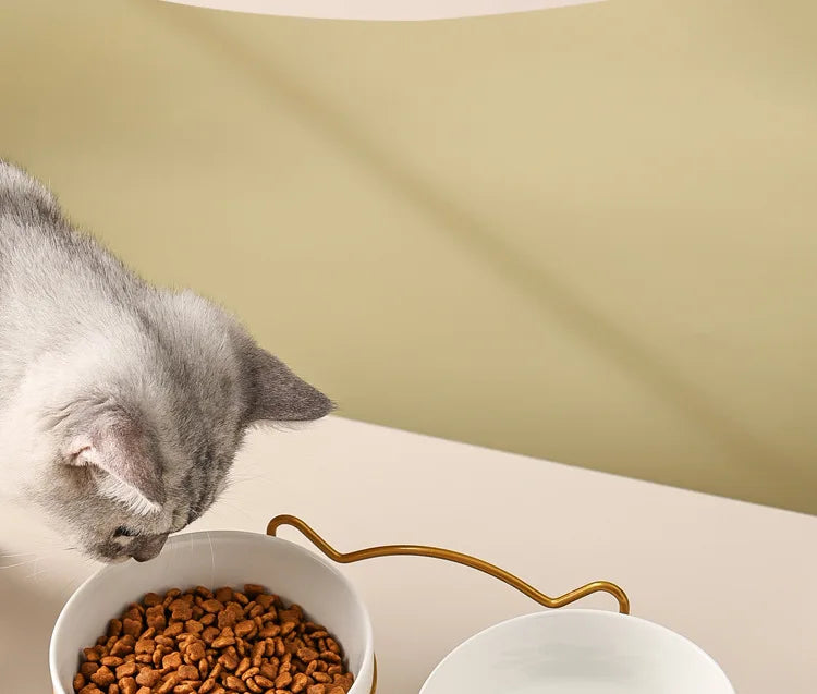 Ceramic Double Pet Bowl – Cervical Protection