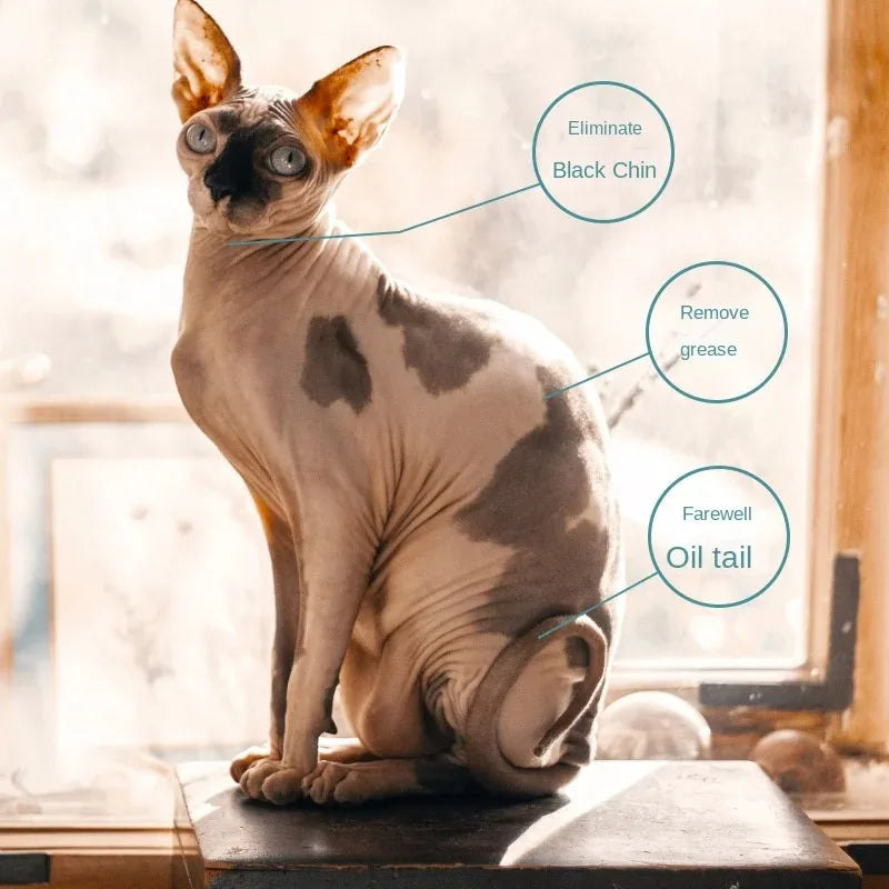 Sphinx Cat Shampoo