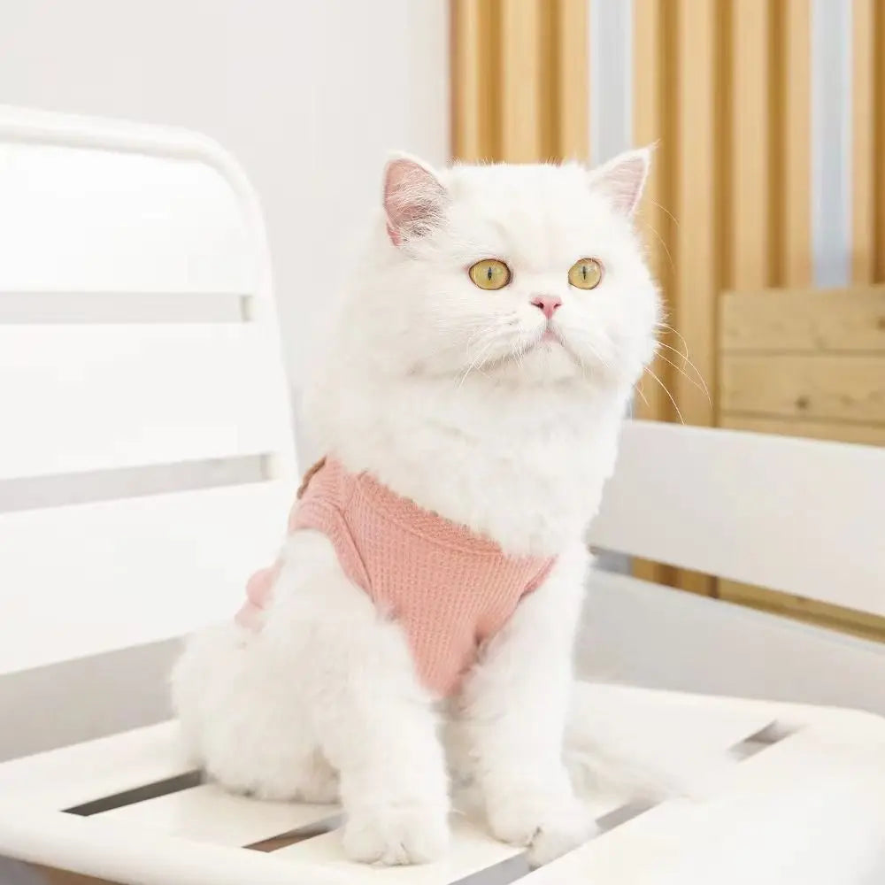 Breathable Waffle Dog Vest