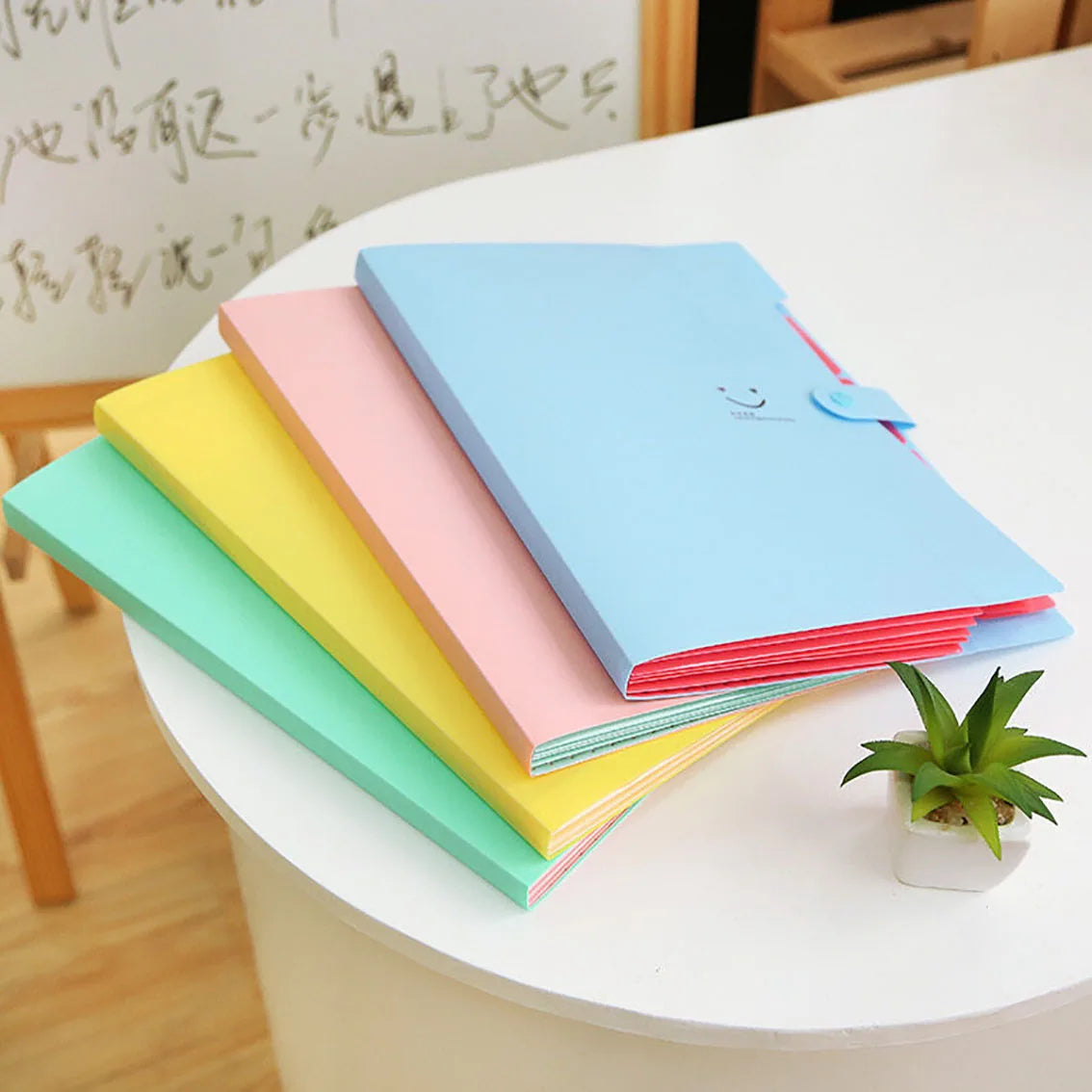 5-Page A4 Accordion File Folder – Durable