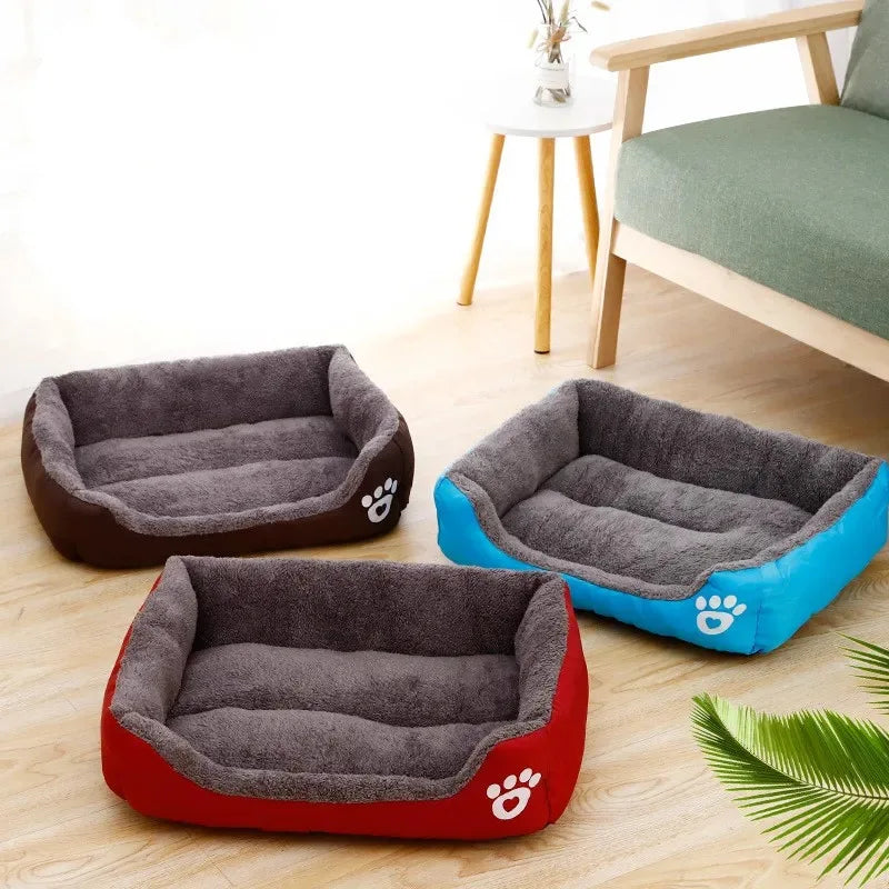 Candy-Colored Pet Bed