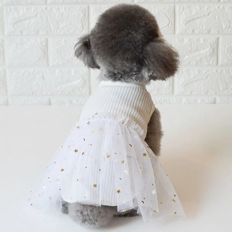 Luxury Lace Dog Dress