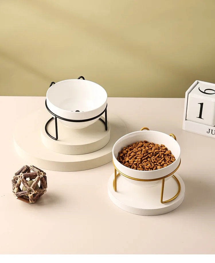 Ceramic Double Pet Bowl – Cervical Protection