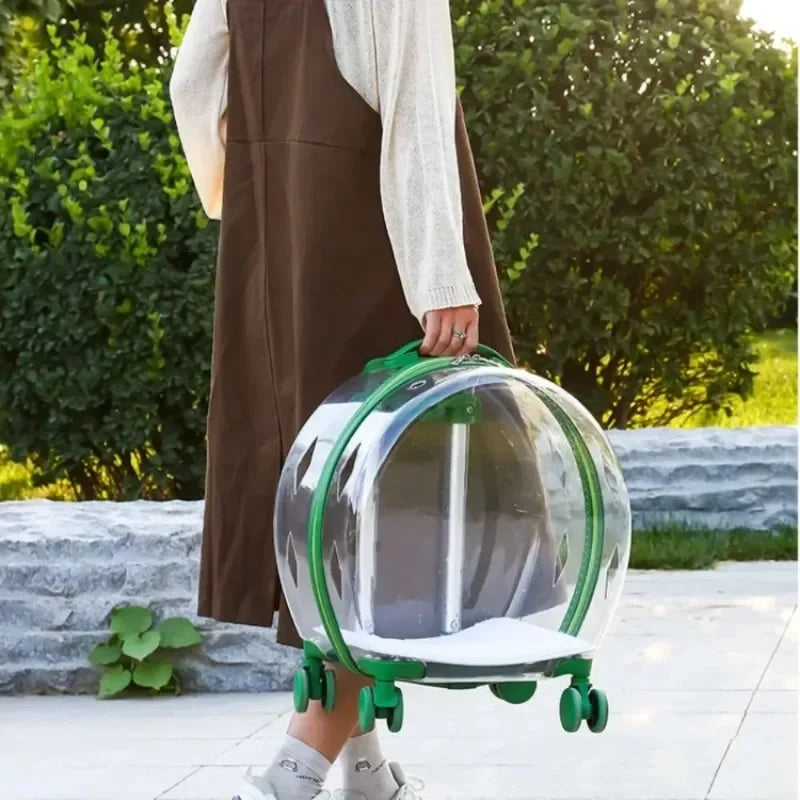 Bubble Pet Backpack – Transparent Carrier 🐾