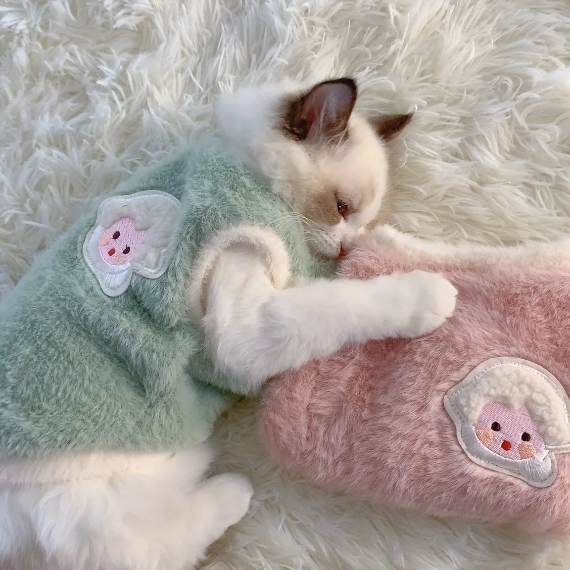 Warm Winter Clothes for Small Pets