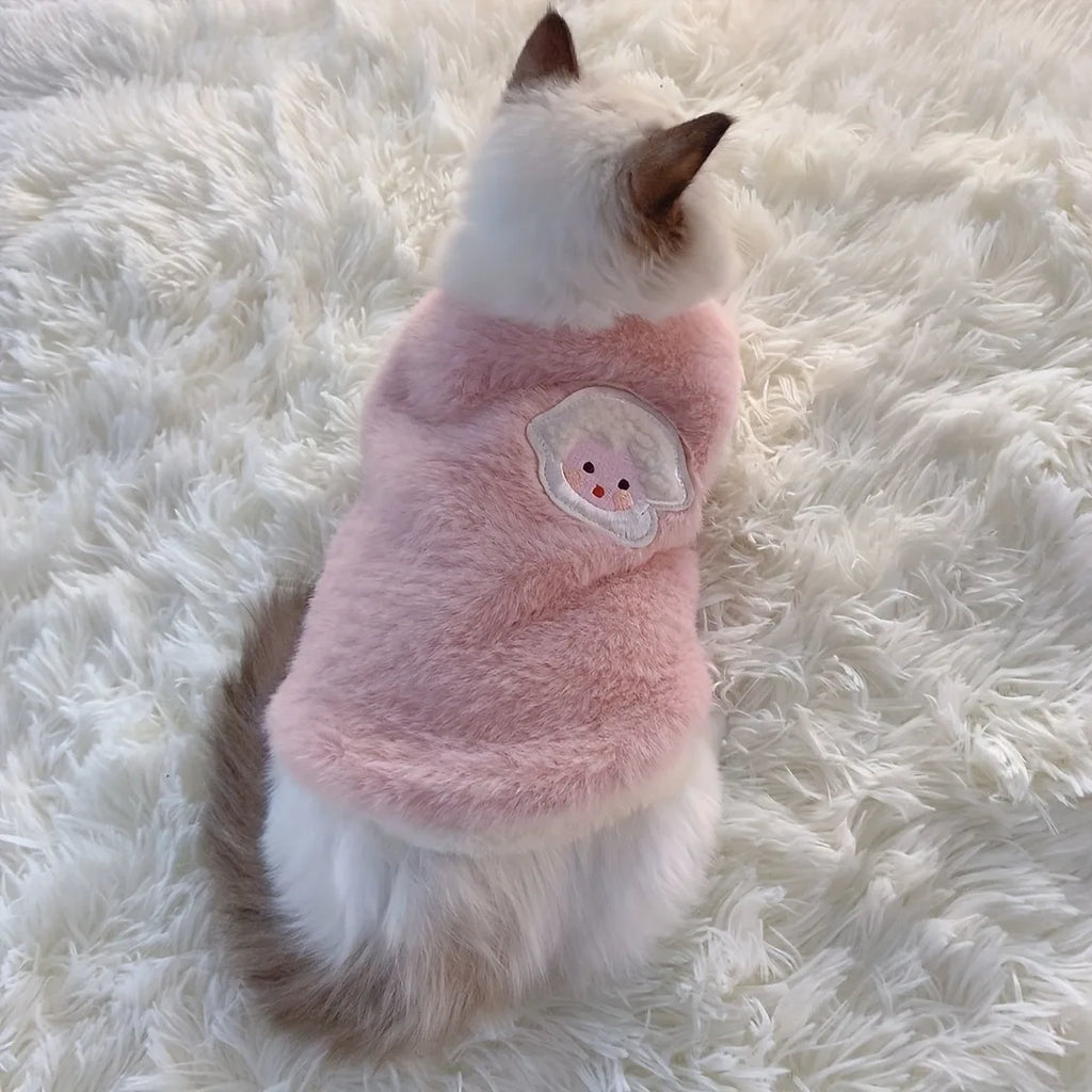 Warm Winter Clothes for Small Pets