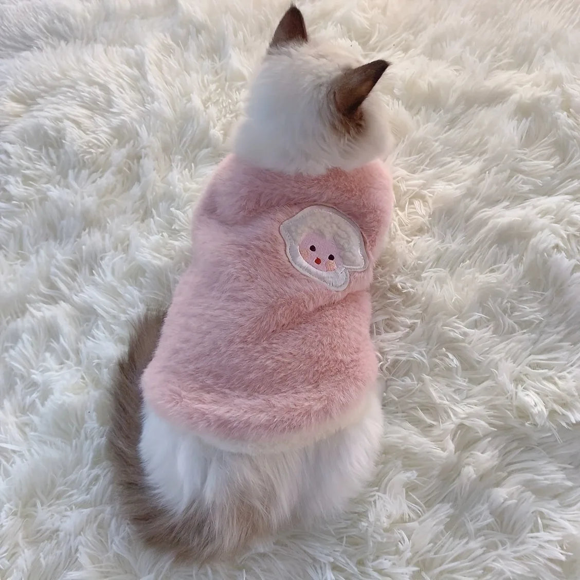 Warm Winter Clothes for Small Pets