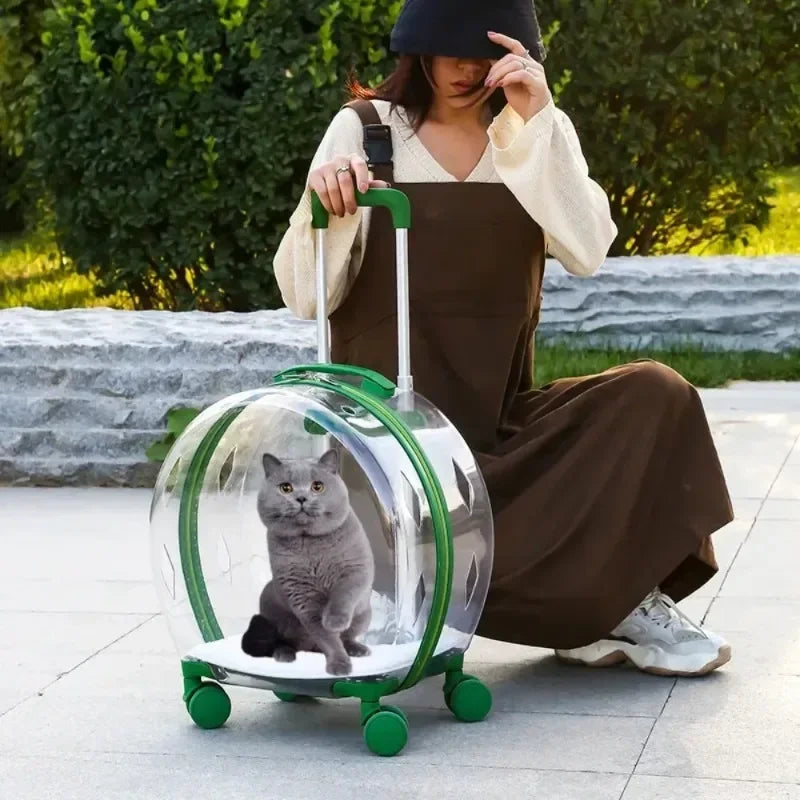 Bubble Pet Backpack – Transparent Carrier 🐾