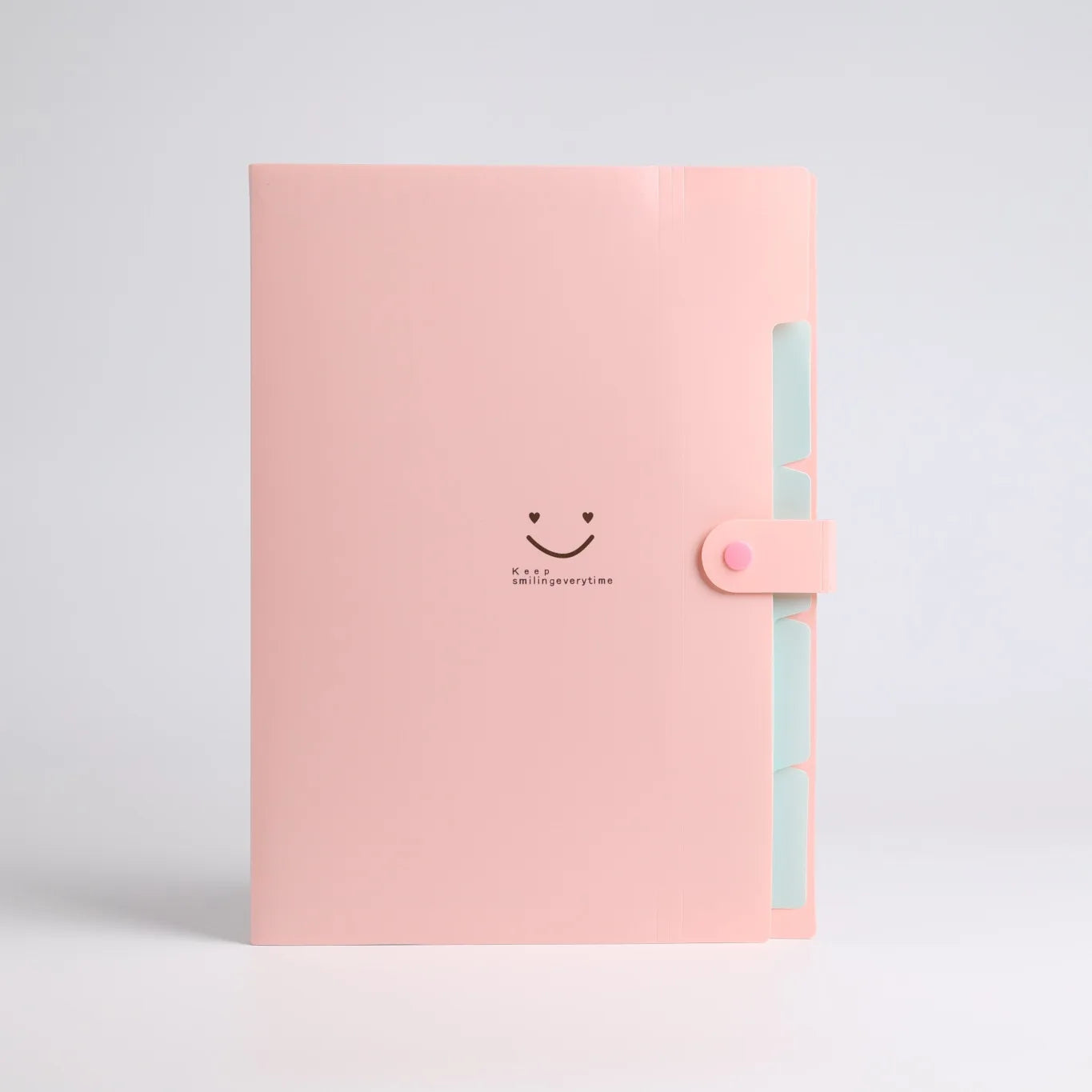 5-Page A4 Accordion File Folder – Durable