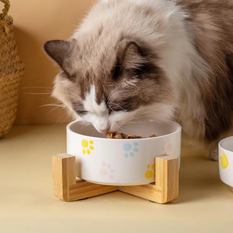 Ceramic Pet Bowl with Wooden Mat – Spine-Friendly