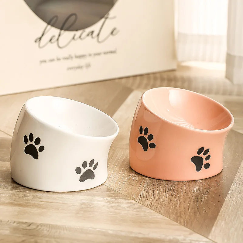 Tilted Elevated Ceramic Cat Bowl (Food & Water)