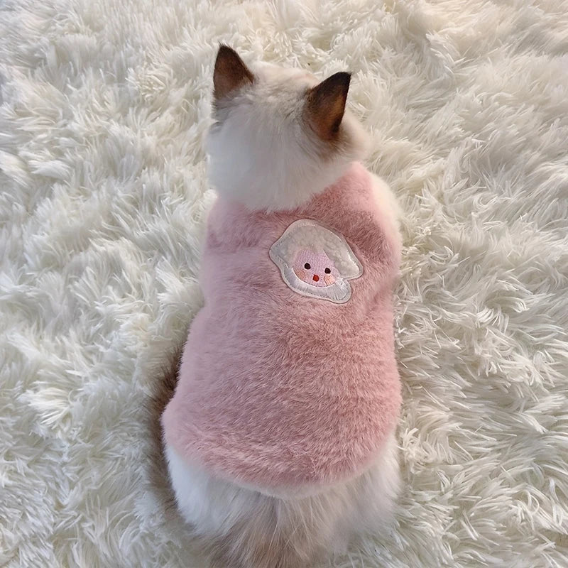 Warm Winter Clothes for Small Pets