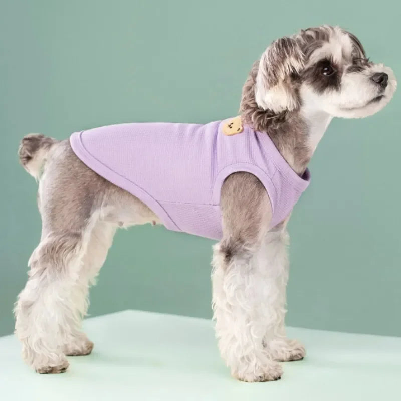 Summer Cool Dog T-Shirt