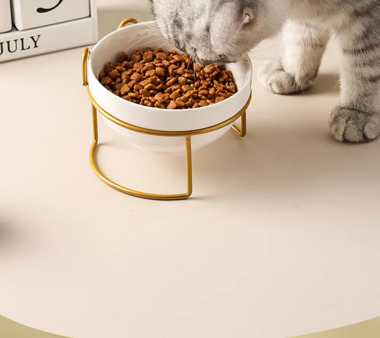 Ceramic Double Pet Bowl – Cervical Protection
