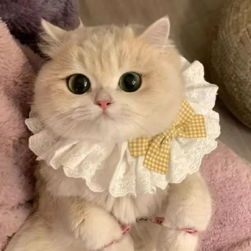 Silk Pet Collar with Bow & Bell – Princess Style