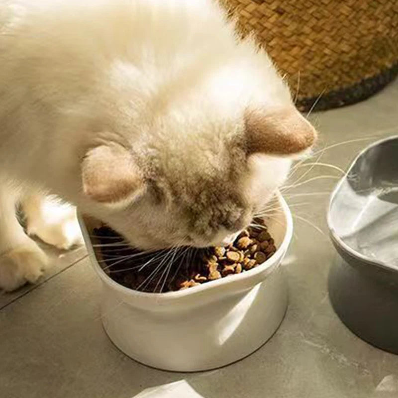 Elevated Stress-Free Cat & Dog Bowl