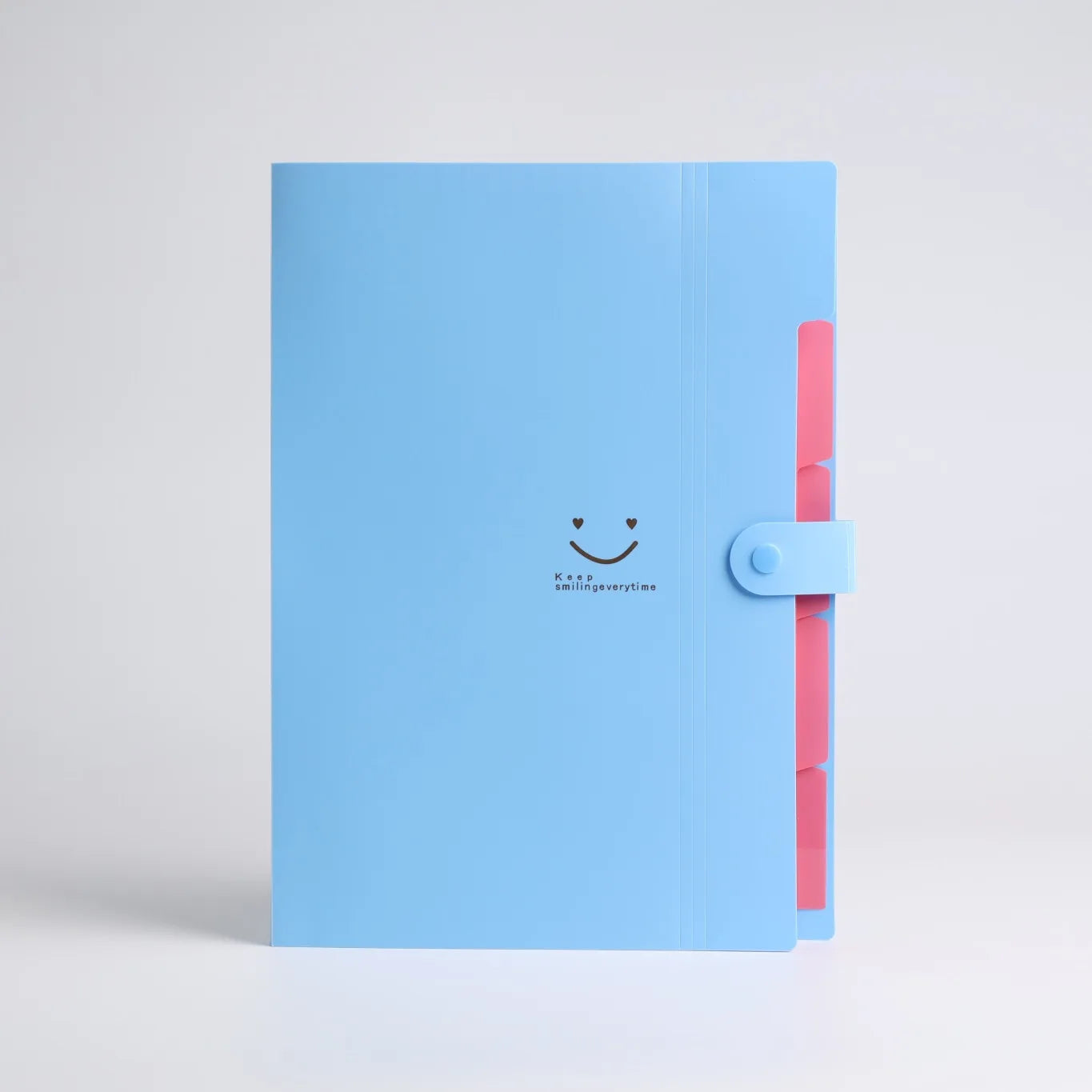 5-Page A4 Accordion File Folder – Durable
