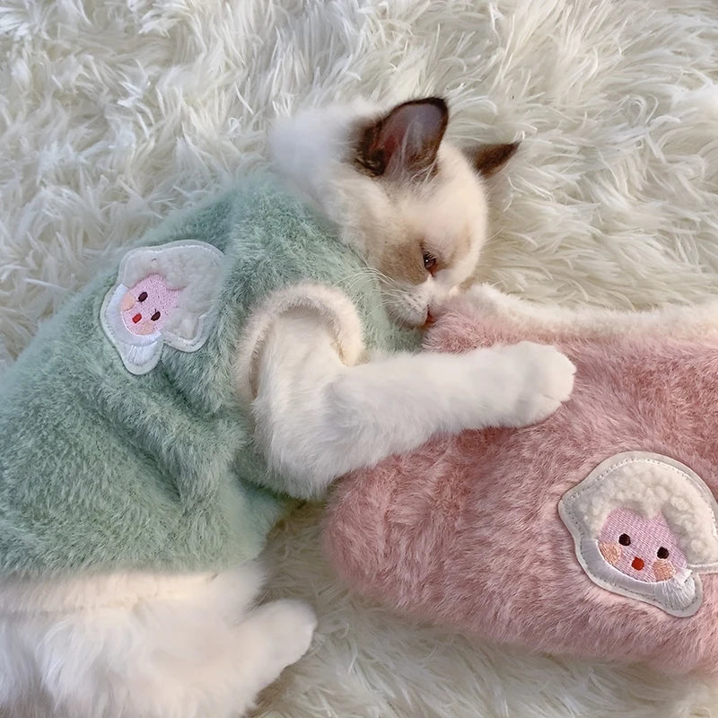 Warm Winter Clothes for Small Pets
