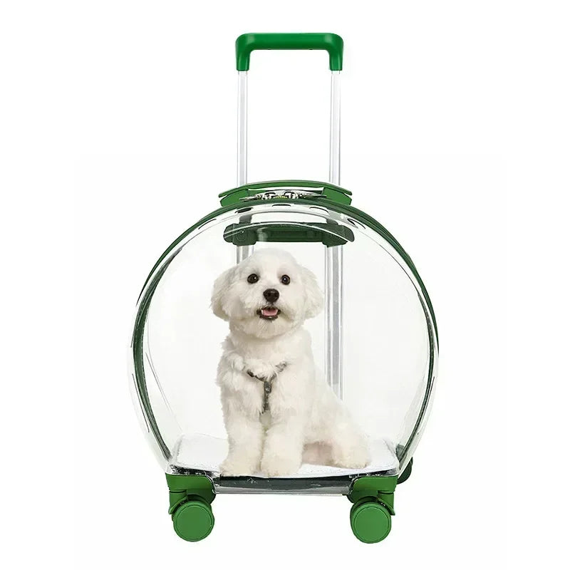 Bubble Pet Backpack – Transparent Carrier 🐾