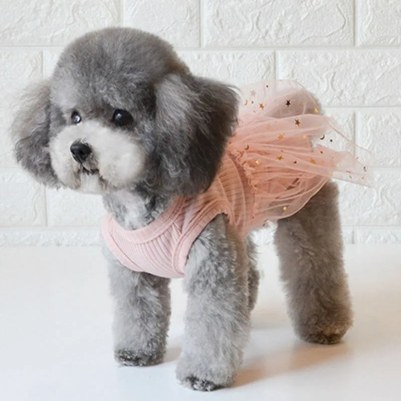 Luxury Lace Dog Dress
