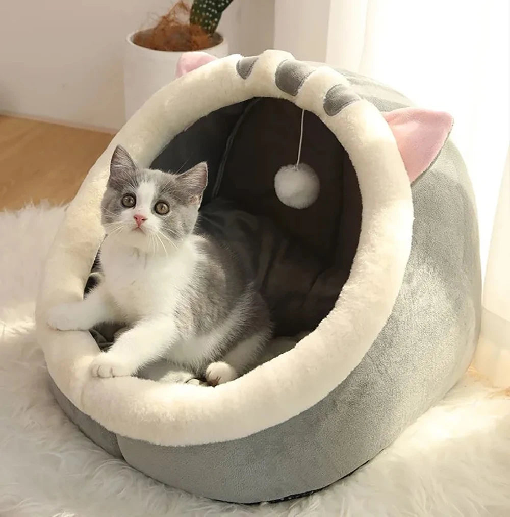 Pet Tent Bed