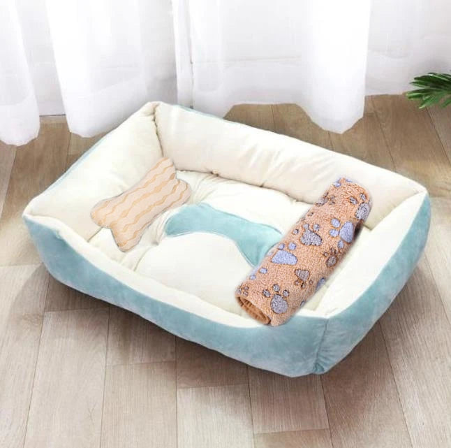Candy-Colored Pet Bed
