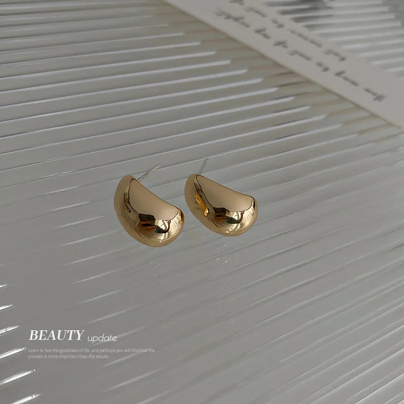 925 Silver Needle Geometric C-shaped Bean Earrings Metal Cool Style Earrings Simple and High End Earrings for Women