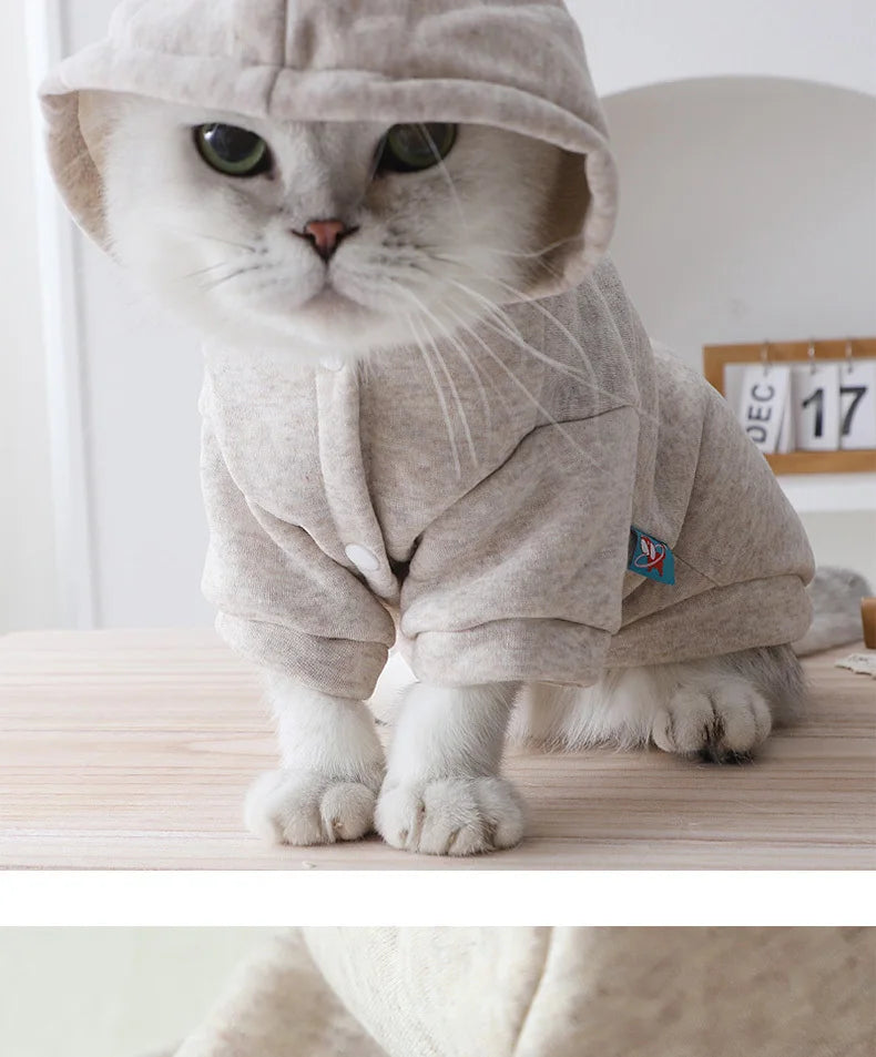High Aesthetic Pet Hoodie – Winter Warm