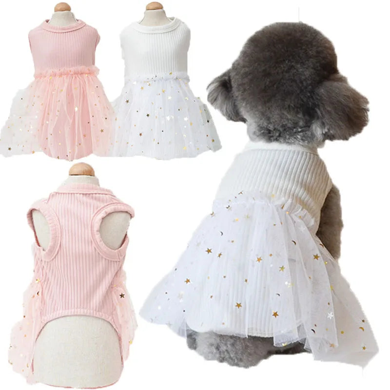 Luxury Lace Dog Dress