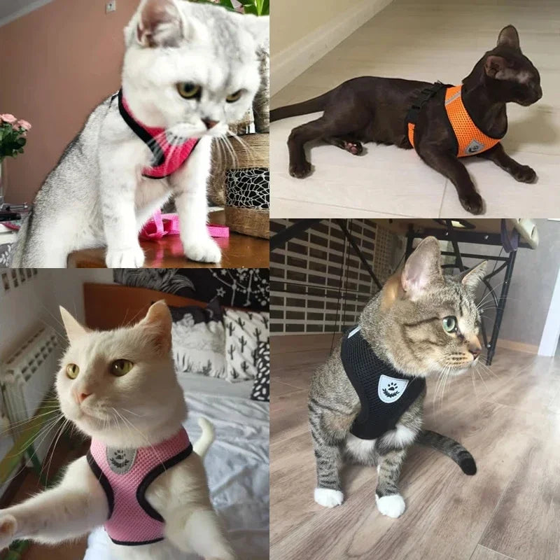 Adjustable Mesh Pet Harness & Leash
